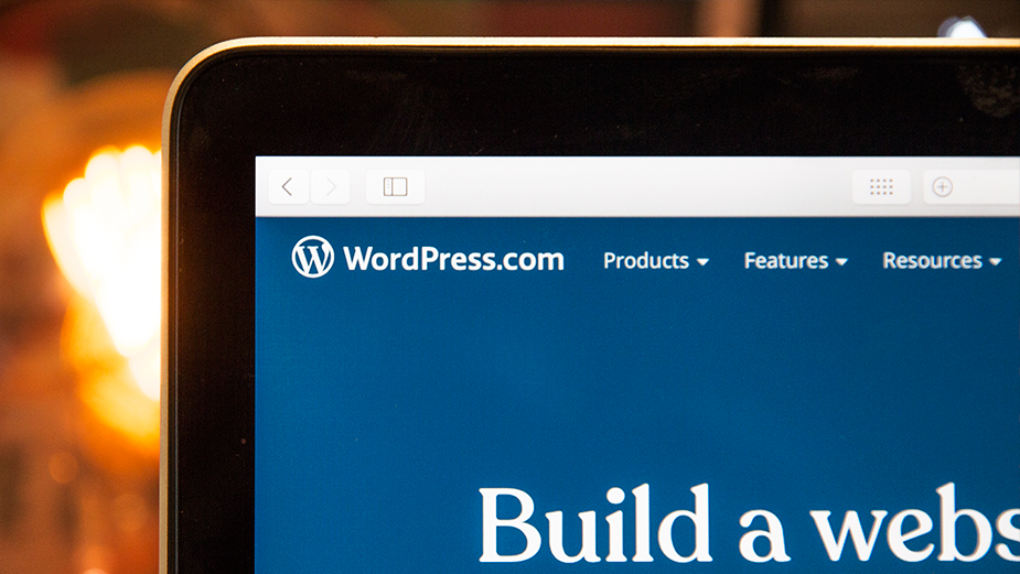 Desenvolvimento em WordPress em Americana